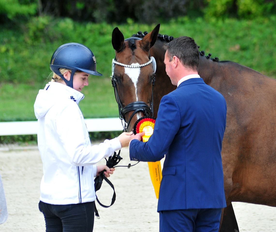 Tacyra - Trakehner Bundesstutenschau Kranichstein 2025 - Foto: Beate Langels - Trakehner Gestt Hmelschenburg