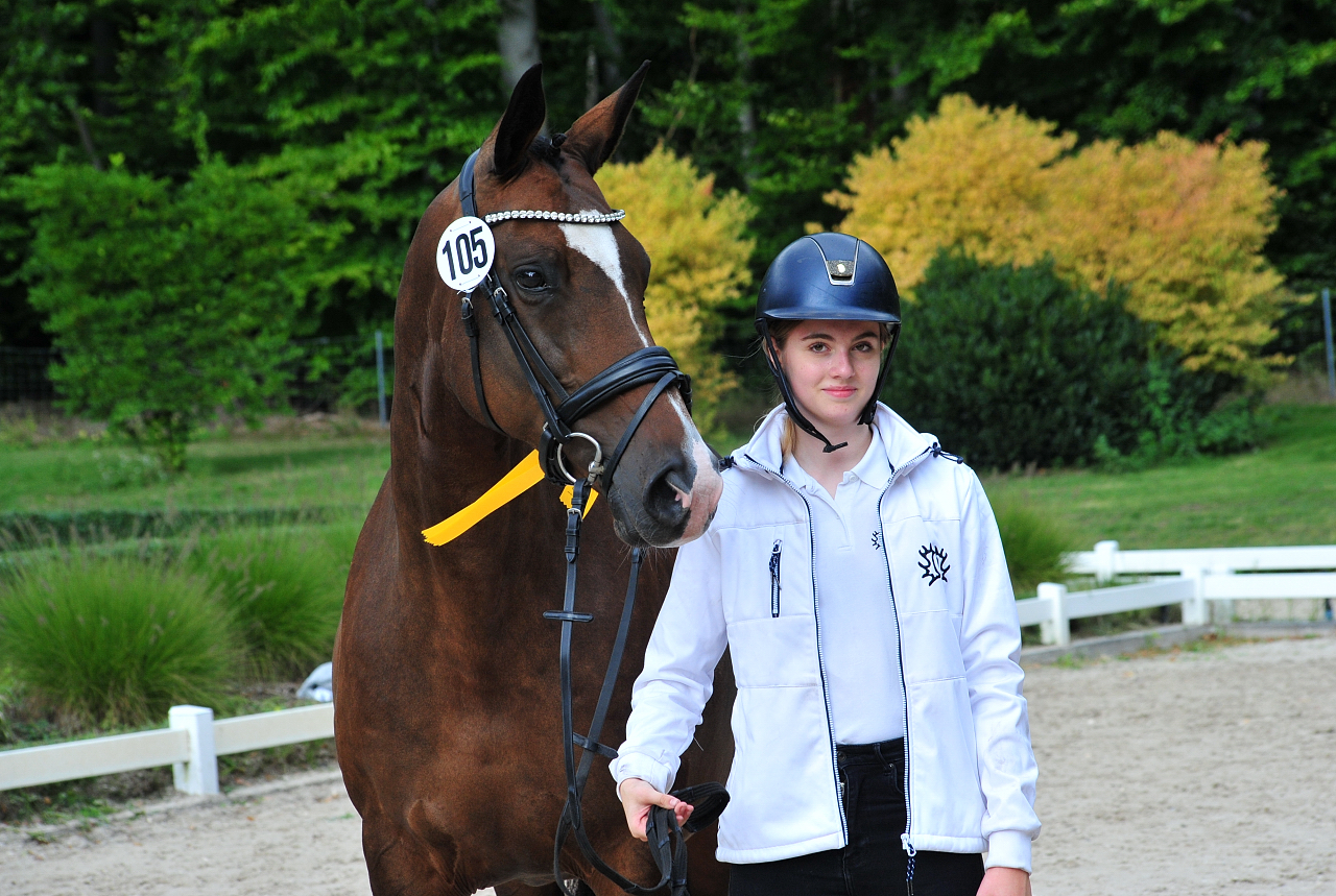 Tacyra - Trakehner Bundesstutenschau Kranichstein 2025 - Foto: Beate Langels - Trakehner Gestt Hmelschenburg