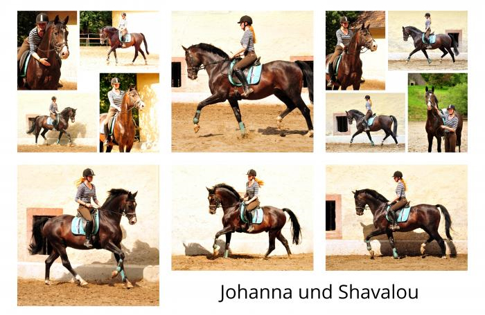 Shavalou und Johanna - Foto: Beate Langels - 
Trakehner Gestüt Hämelschenburg