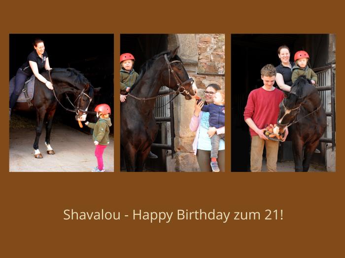 21. Geburtstag: Shavalou v. Freudenfest - Trakehner Gestüt Hämelschenburg - 
Foto: Beate Langels