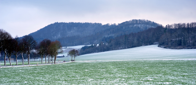 Winter in Hämelschenburg - Januar 2016  -
Trakehner Gestüt Hämelschenburg