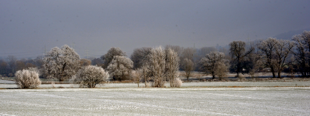 Winter in Hämelschenburg - Januar 2016  -
Trakehner Gestüt Hämelschenburg