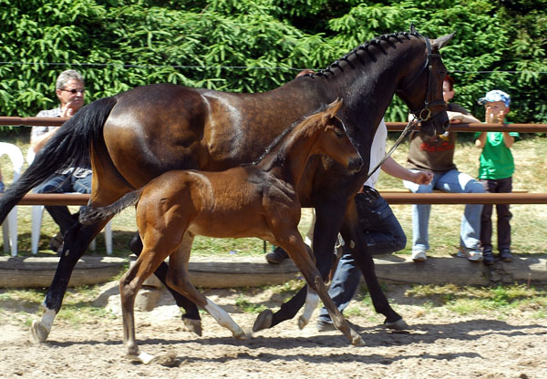 Rominten with her filly by Symont