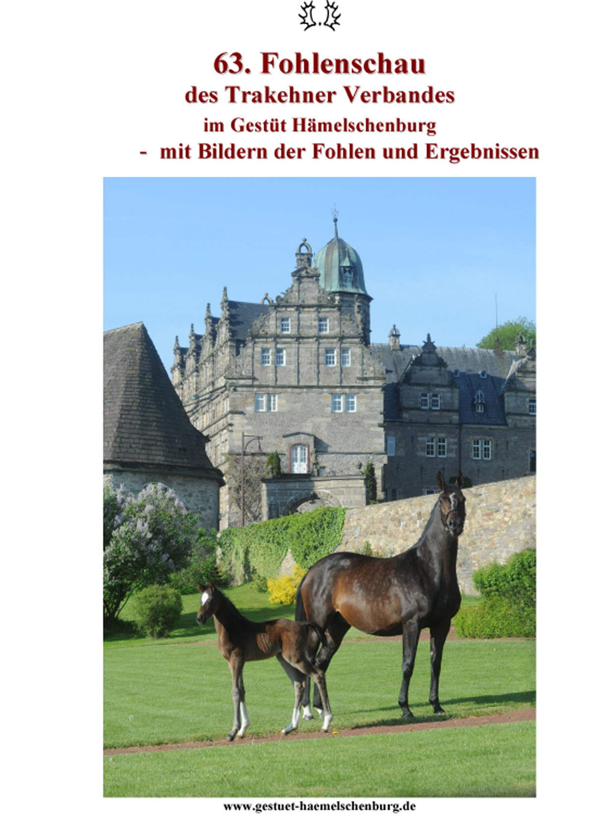 Fotos und Ergebnisse der 63. Trakehner Fohlenschau im Gestt Hmelschenburg - Foto: Beate Langels - Trakehner Gestt Hmelschenburg