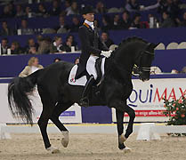 Gribaldi von Kostolany; Foto Horsemoments.nl