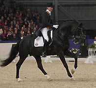 Gribaldi von Kostolany - Ibikus, Foto: horsemonments.nl