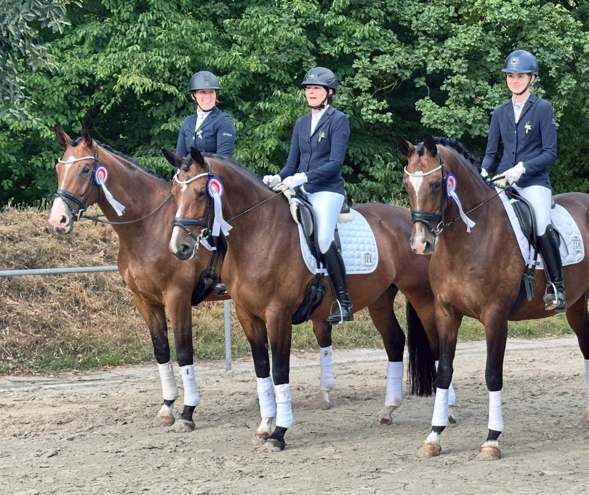 Impressionen - August 2025 - Trakehner Gestt Hmelschenburg  - Foto: Beate Langels