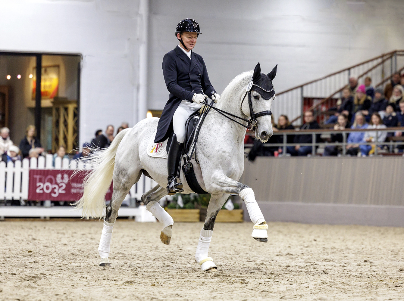 Trakehner Stallion Hopkins - Trakehner Gestt Hmelschenburg