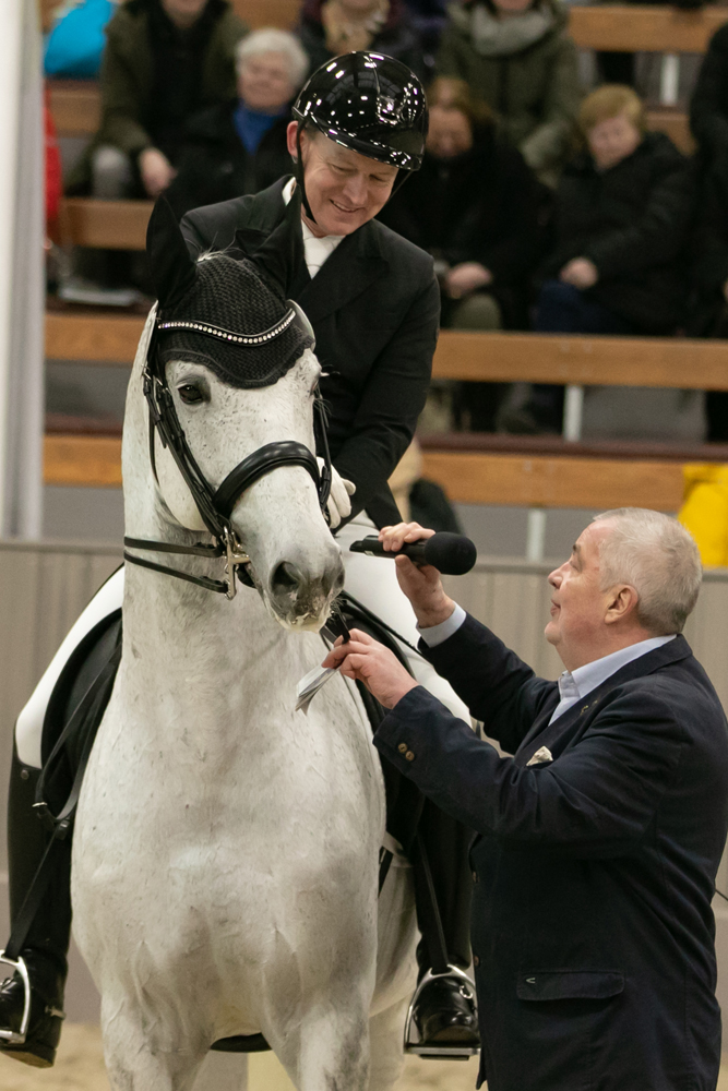 Hopkins von Hofrat x Artistic Rock - Foto M. Dsterwald- Trakehner Gestt Hmelschenburg