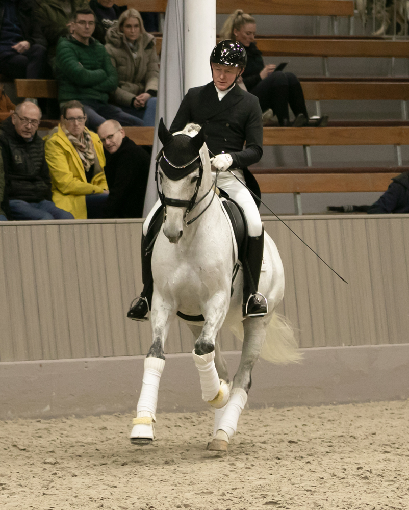 Hopkins von Hofrat x Artistic Rock - Foto M. Dsterwald- Trakehner Gestt Hmelschenburg