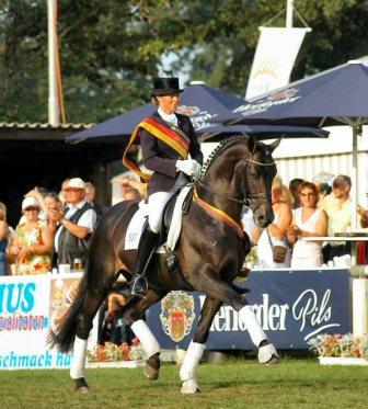 Grand Prix Sieger KAISERDOM von Van Deyk - Gajus
- aufgestellt im Trakehner Gest�t H�melschenburg