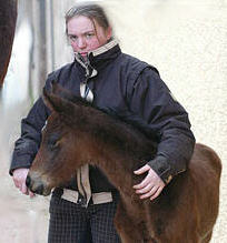 Filly by Summertime out of Pr.St. Kalmar by Exclusiv