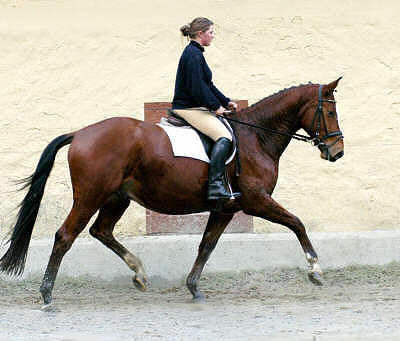Kasper by Exclusiv - Enrico Caruso (4-years old)