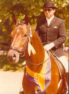 Kastilio - Championatssieger Wiesbaden 1977