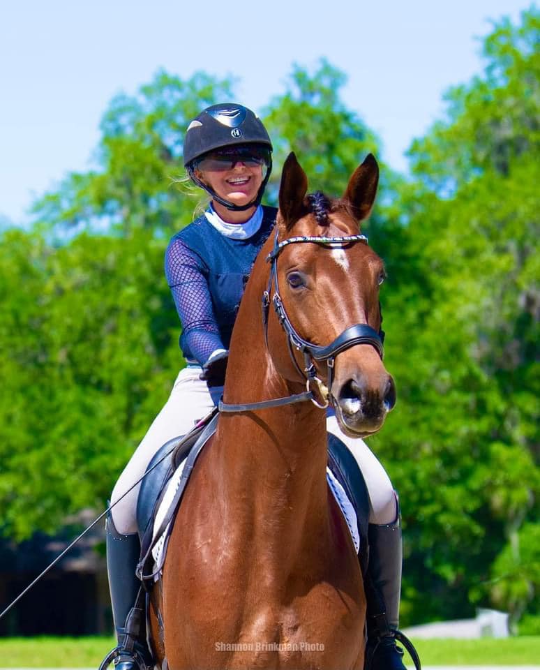 Trakehner Prmienhengst Klassic Motion von High Motion und Prmienstute Karida v. Oliver Twist - Freudenfest - fotografiert von Sharron Brinkmann