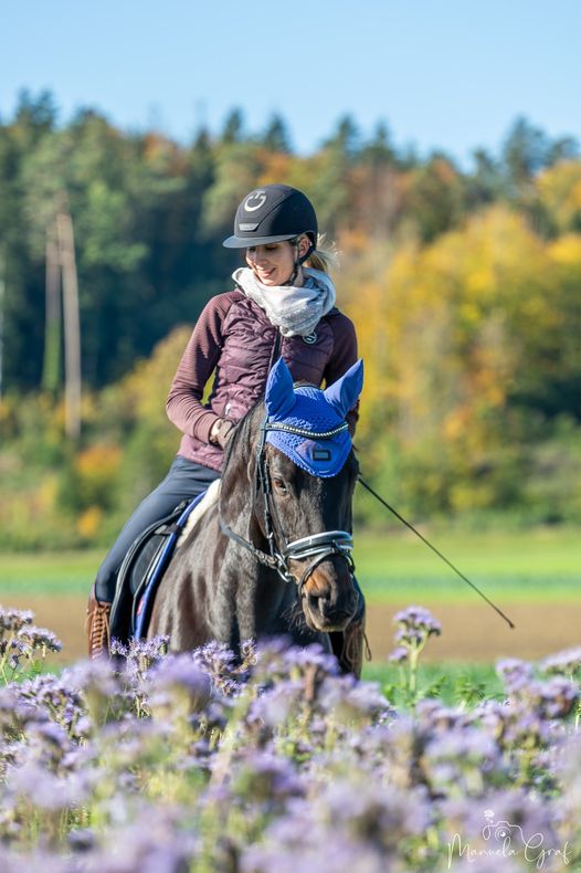 Kaiserelied - geboren im Gestt Hmelschenburg - 2024