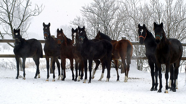 Die Gruppe der Absetzer im Winter 2011 in Schäplitz - Foto: Richard Langels