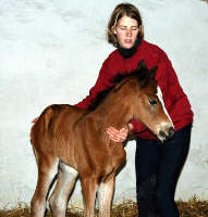 5 hours old: filly by Freudenfest out of Schwalbenflair by Exclusiv