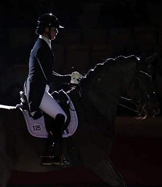 Seal von Gribaldi u.d. ESt. Schwalbenspiel v. Exclusiv und Lune Karolin Mller - Foto: Lune Jancke - Trakehner Gestt Hmelschenburg