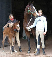 14 hours old: filly by Summertime out of Pr.St. Tavolara by Exclusiv