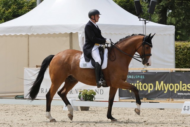 Andreas Rutsch und Tolkien, Zchter: Jutta Langels Trakehner Gestt Hmelschenburg