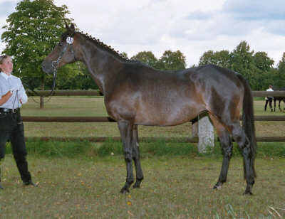 Unterhaltung xx v. Fierant (14-jhrig)