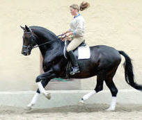 Victoria Helweg - mit Auszeichnung die Prüfung zum Pferdewirt Zucht und Haltung bestanden!
