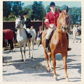 Vilja - Jagdpferd von Jutta Langels